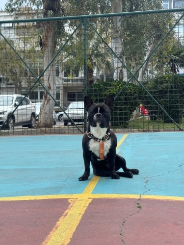 Güzel melek ömürlük meleğini arıyor fotoğraf