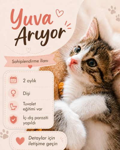 Zarife’ye Ömürlük Yuva Arıyoruz fotoğraf