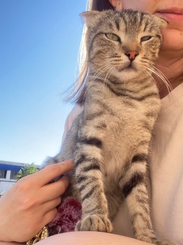 Sokakta yaşamaya çalışıyor, lütfen ona yuva bulalım fotoğraf