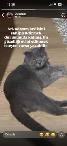 Paşa Keyfi sevgi dolu sakin fotoğraf