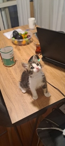 2.5 aylık minik bebeğe yuva fotoğraf