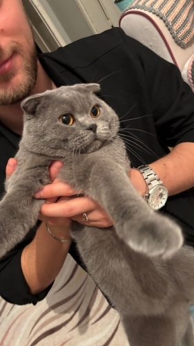 Gofret oğlumuza acil kalıcı yuva fotoğraf