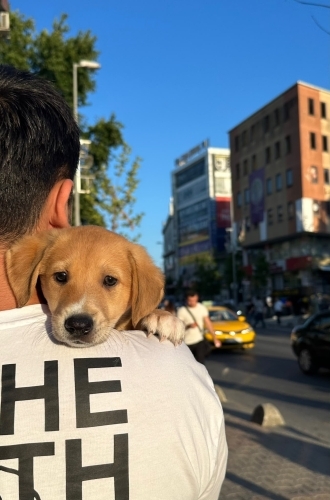 ACIL YUVA LUTFEN fotoğraf