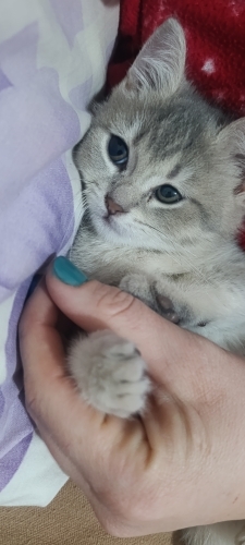 Temas bağımlısı ilgi manyağı fotoğraf
