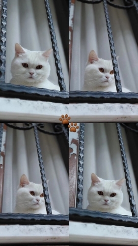 Oyun oynamay seviyo fotoğraf