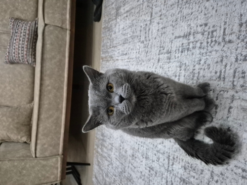 Sakin ve uyumlu fotoğraf