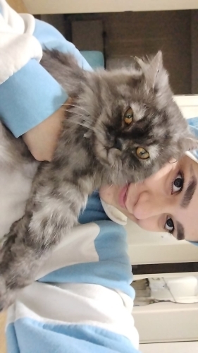 Gri beyaz ombreli uysal fotoğraf