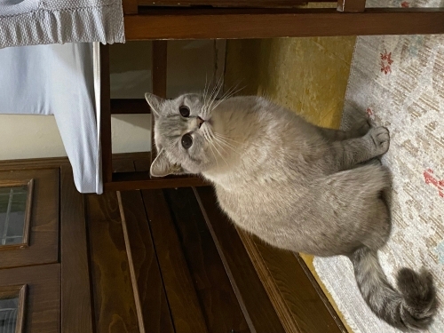 Boncuğumuza yuva arıyoruz fotoğraf