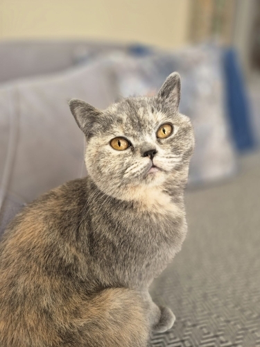 Çok sevecen insan canlısı fotoğraf