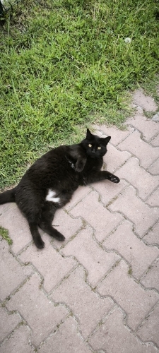 Sokağa Terk Edilen Bu Güzel Çocuğa Yuva Olur Musunuz? fotoğraf