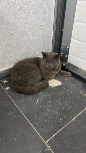 Onun yuvası yok ama siz varsınız 🙏 fotoğraf