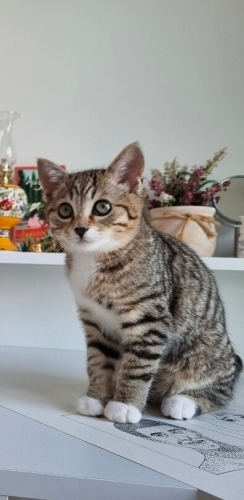 Acil Yuva Arıyorum fotoğraf