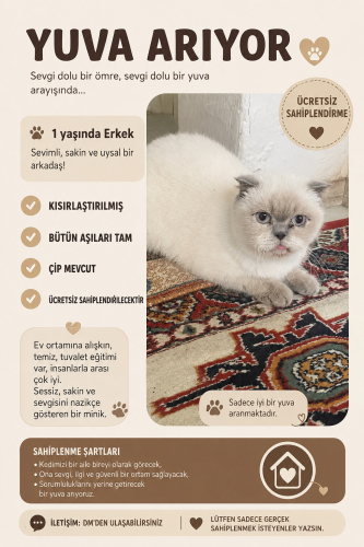 Ücretsiz Acil yuvasını arıyor fotoğraf