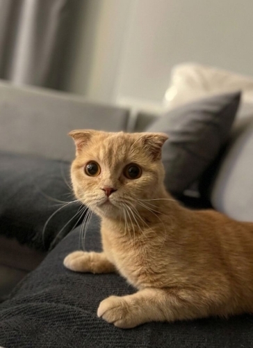 Uyumlu sessiz sakin dost canlısı fotoğraf