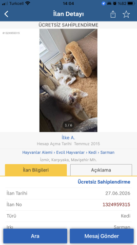 Ücretsiz sahiplendirme fotoğraf