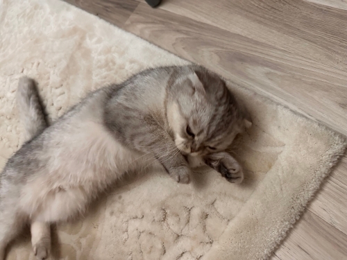 Acil yuva güzel kızımıza fotoğraf