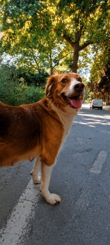 Nora mutlu yuvasını arıyor😍 fotoğraf