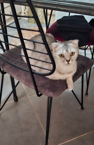 Sakin cana yakın fotoğraf