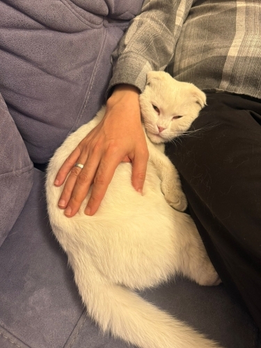 Yeni Yuva arıyoruz fotoğraf