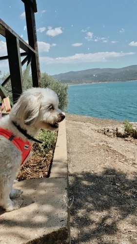 Canim Kizima guzel bir yuva ariyorum. fotoğraf