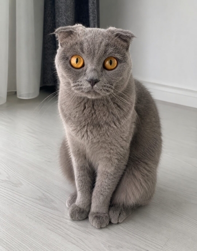 AYLARDIR KLİNİK KAFESİNDEYİM fotoğraf