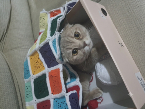 Sakin miniğim Mercan fotoğraf