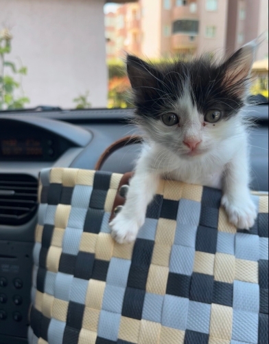 Annesini kaybetmiş hayata tutunan minik kalp fotoğraf