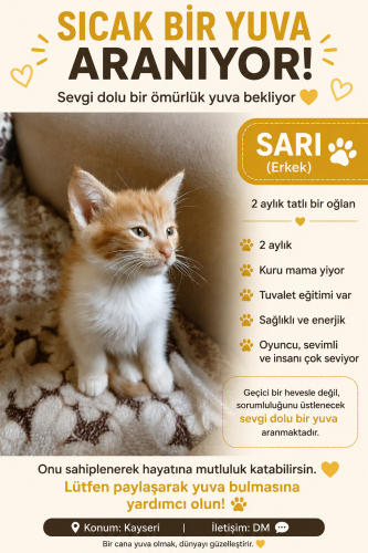 2 aylık yavrumuza guzel bır yuva fotoğraf