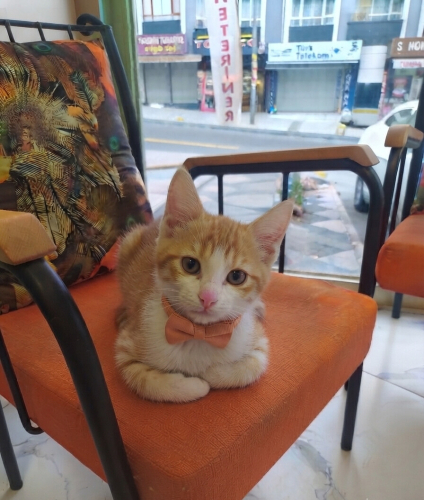 Sevimli yumurcak size gelsin mi fotoğraf