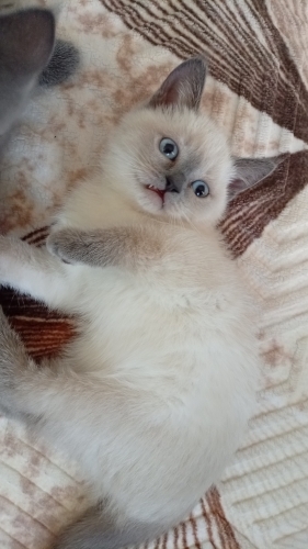 Belki de seni bekliyordur minnakk🥹 fotoğraf