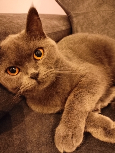 Sevgi dolu maya fotoğraf