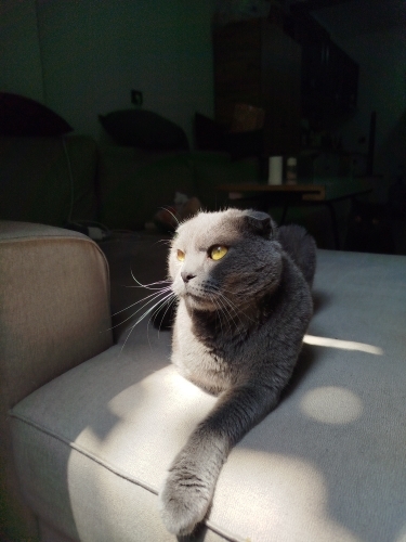 Sokağa atılan tatlı oglan fotoğraf