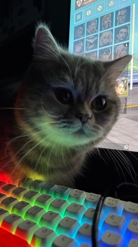 Oğluma kalıcı yuva arıyorum fotoğraf