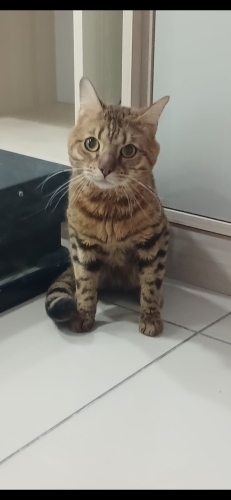 GÖRME ENGELLİ OĞLAN YUVA ARIYOR fotoğraf