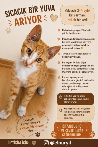 İnsan canlısı Balım fotoğraf