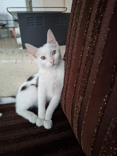 Terkedilmiş bebek fotoğraf