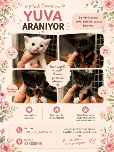 Minnak bebişler jelibonlar fotoğraf
