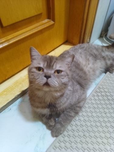 Güzel oğlumuza hak ettiği ömürlük yuvasını arıyoruz fotoğraf