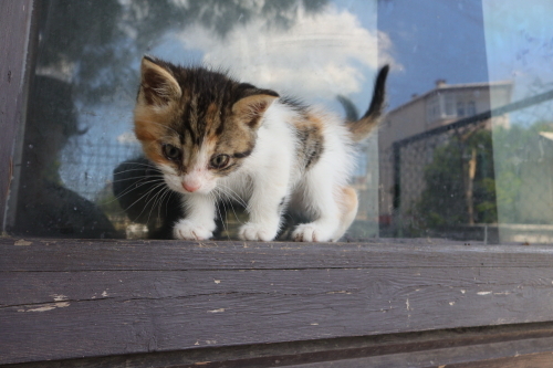 Çok güzel ve tatlı fotoğraf