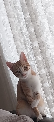 Güneş kızıma acil yuva fotoğraf
