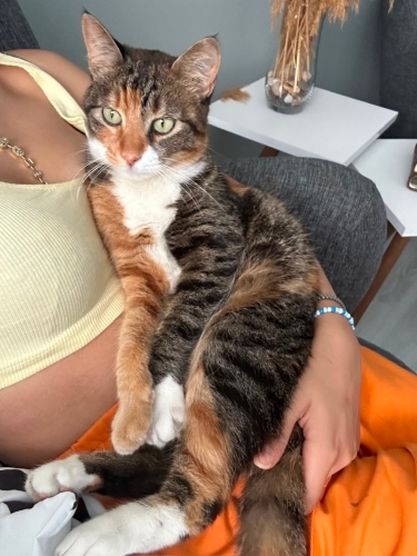 Tatlı oyuncu kızımıza yuva arıyoruz fotoğraf