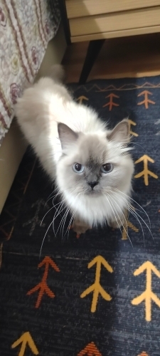 Nazlı kıza sıcak yuva fotoğraf
