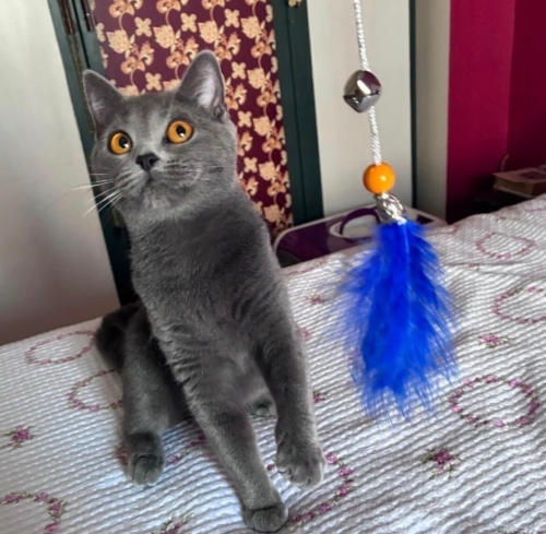 Bugün son gün acile yuva heeemmmeennnn fotoğraf
