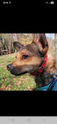 Bu cana dokunacak bir can arıyoruz fotoğraf