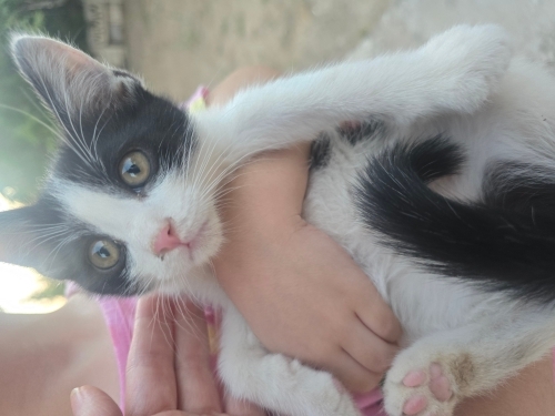 Rüzgar Bebek Yuvasını Bekliyor fotoğraf