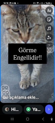 Görme engellidir acil yuva arıyoruz fotoğraf