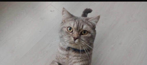Sevdirik Paşa’mız fotoğraf