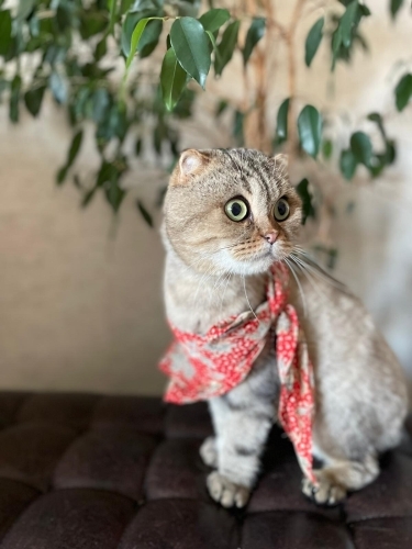 Bu çocuk bir harika! fotoğraf