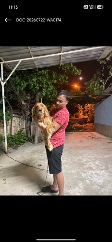 Yuvacık Aranıyor fotoğraf