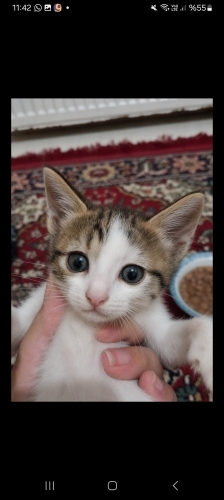 Nadir Güzellikk fotoğraf